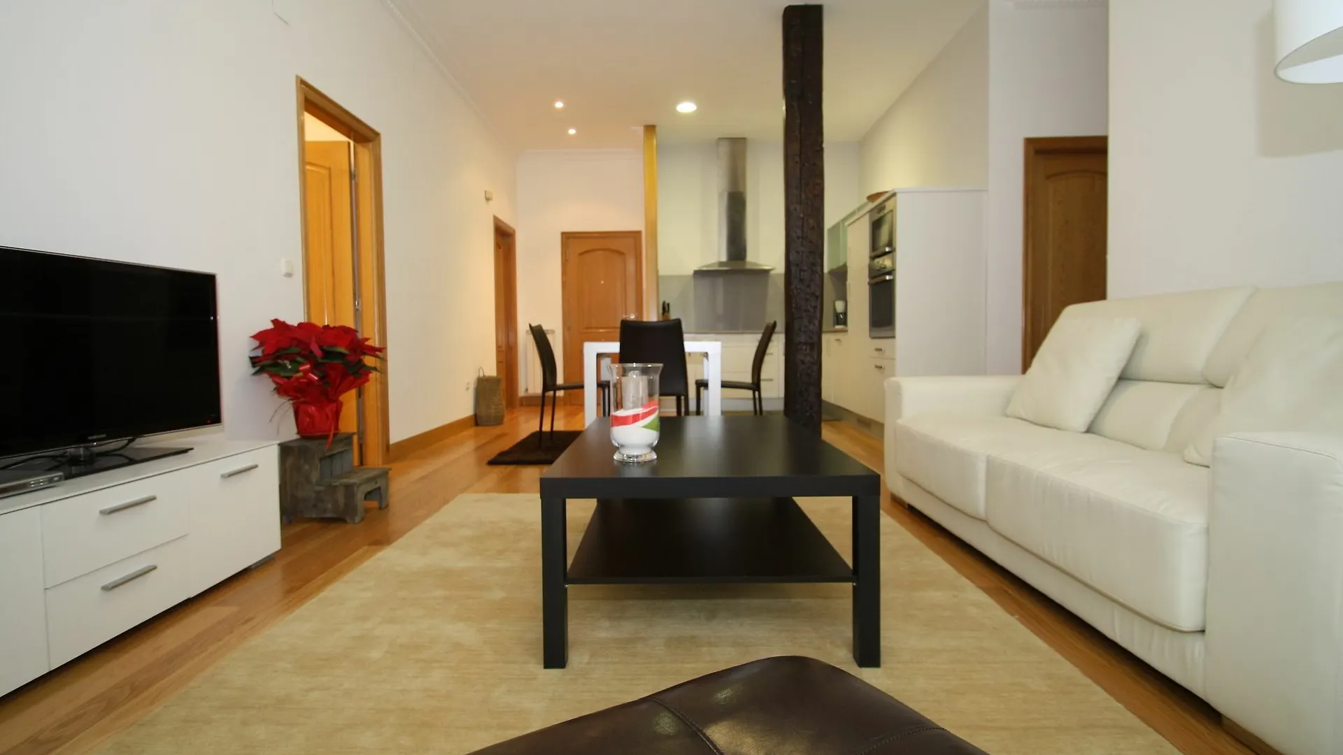 Plaza Guipuzcoa Apartment By Feelfree Rentals San Sebastian